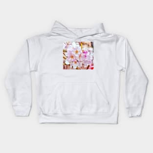 Delicate Washington Cherry Blossoms Macro - Watercolor Effect Kids Hoodie